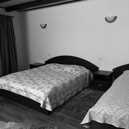 Pensiunea Pietrosul Borşa Extérieur photo