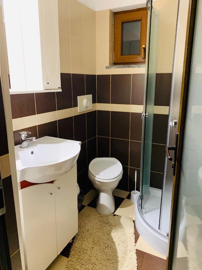 Pensiunea Pietrosul Borşa Extérieur photo
