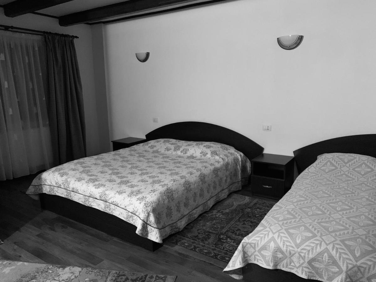 Pensiunea Pietrosul Borşa Extérieur photo