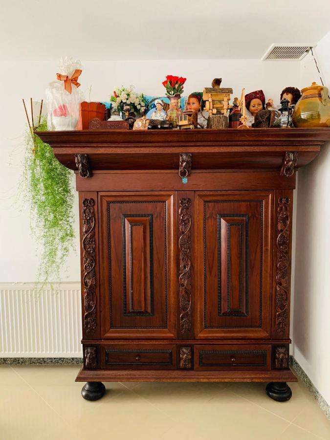 Pensiunea Pietrosul Borşa Extérieur photo