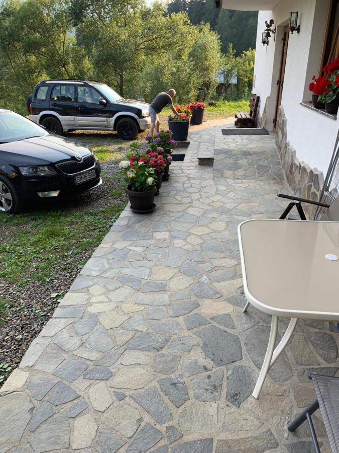Pensiunea Pietrosul Borşa Extérieur photo