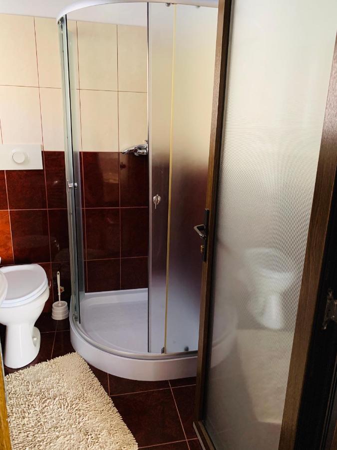 Pensiunea Pietrosul Borşa Extérieur photo