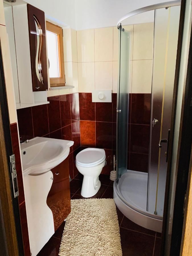Pensiunea Pietrosul Borşa Extérieur photo